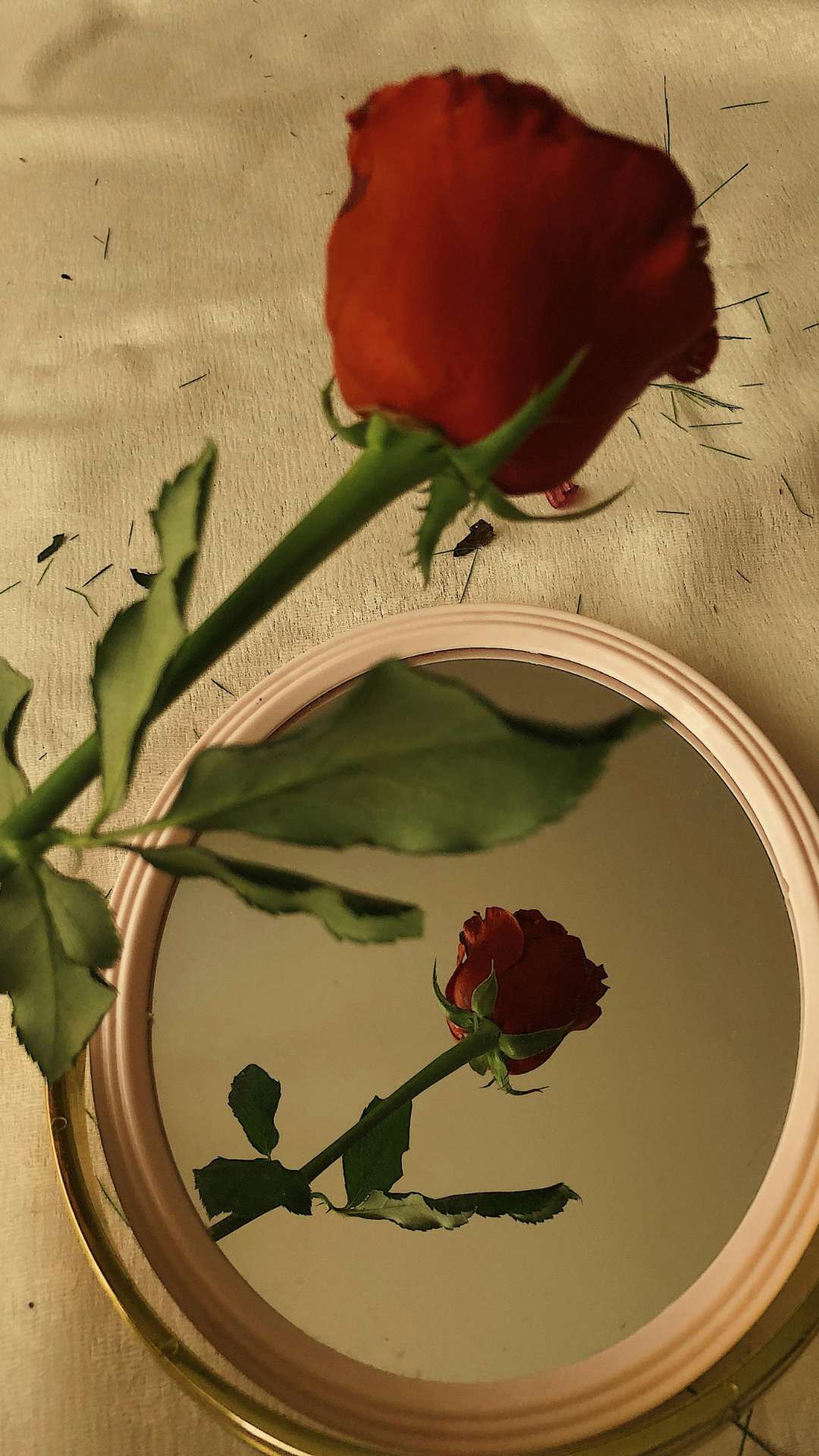 Valentine-themed-decoration-with- mirrors-adding-depth-warm-lighting- and-dreamy-reflections.