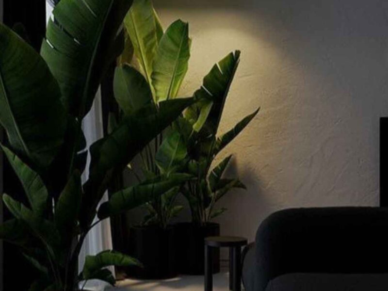 Featured-image-on-Dark-Home-Decor-Ideas