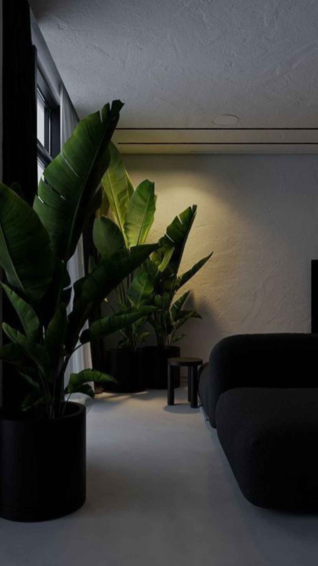 Featured-image-on-Dark-Home-Decor-Ideas