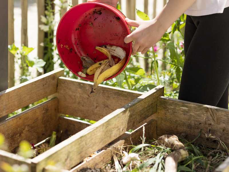 Compact-Wooden-Crate-Compost-Setup