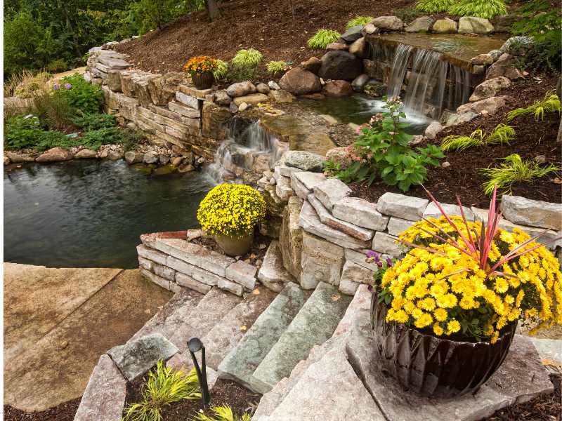 DIY-Ponds-Backyard