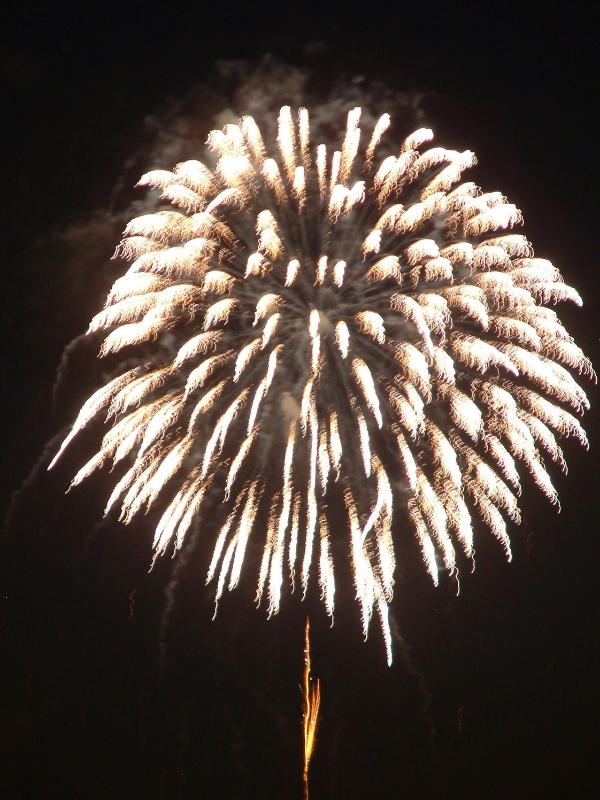 Fireworks-Burst-Wallpaper-That-Brings-the-Night-Sky-Straight-to-Your-Screen