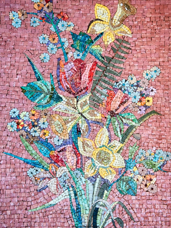 Flower-Petal-Mosaics