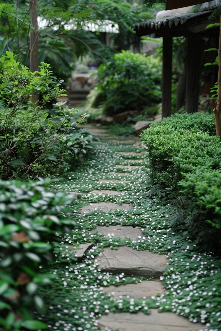 Ground-Cover-Plants.