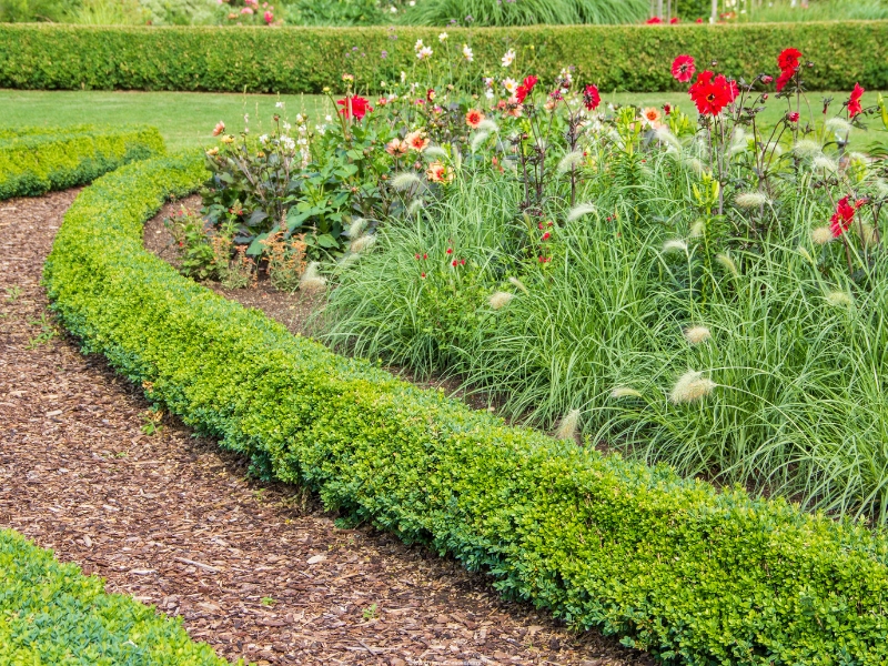 Mulch-Garden-Paths