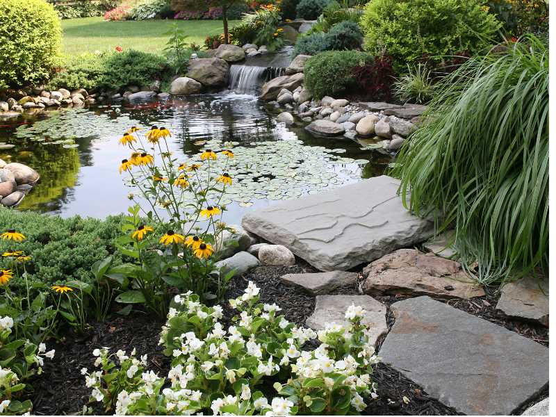 Natural-Looking-Pond-With-Rocks-and-Greenery-DIY-Ponds-Backyard.