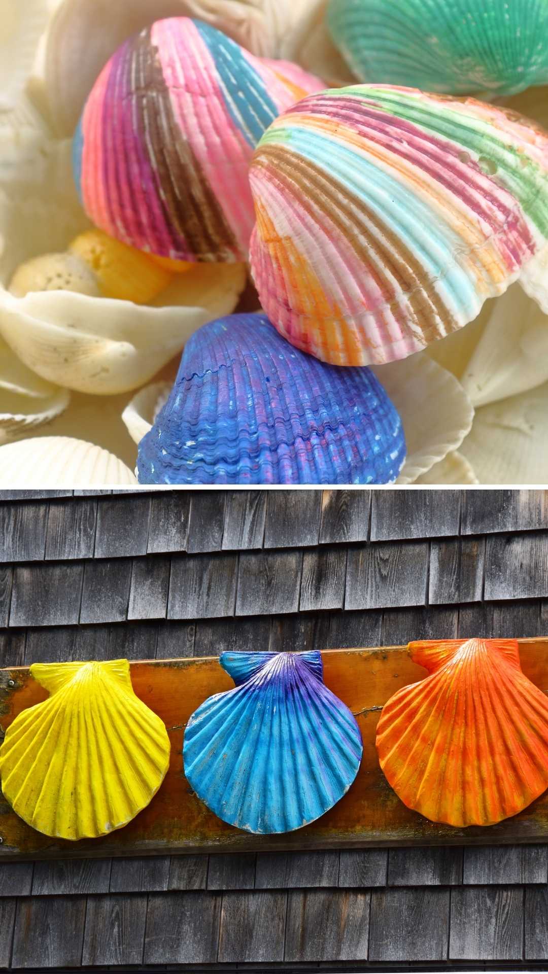Painted-Seashell-Art-Cute-Summer-Crafts
