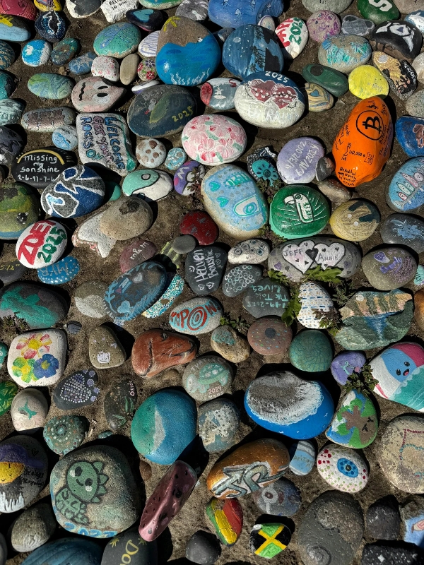 Painting-River-Stones-With-Summer-Designs-to-Create-Decorative-Paperweights