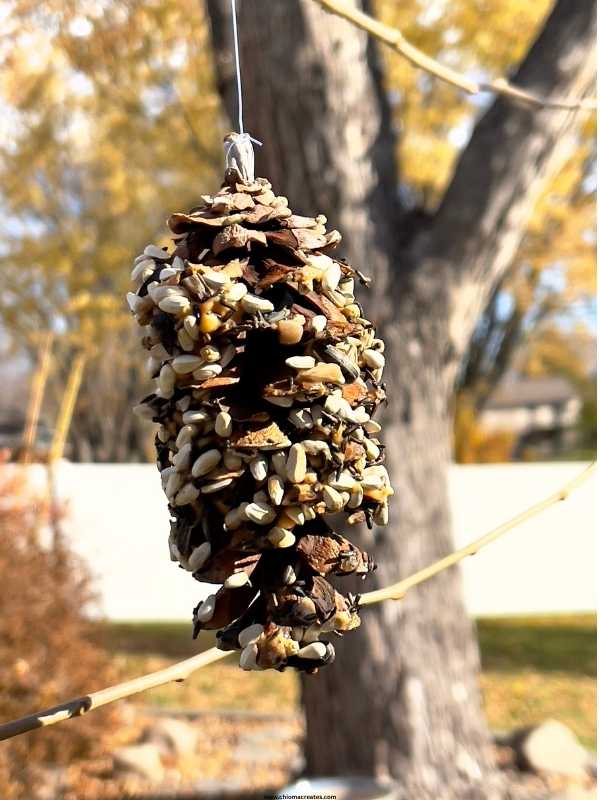 Pinecone-Bird-Feeders