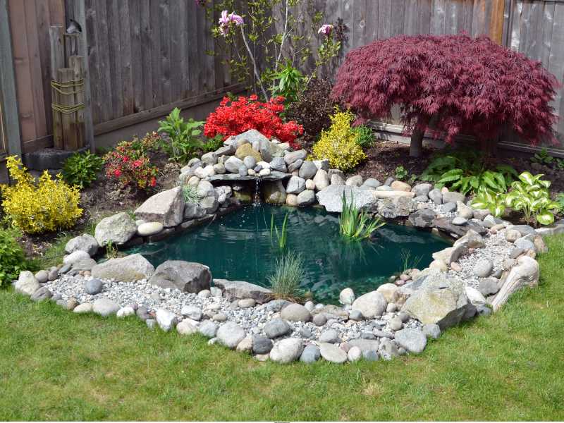 Small-Stone-Lined-DIY-Ponds-Backyard
