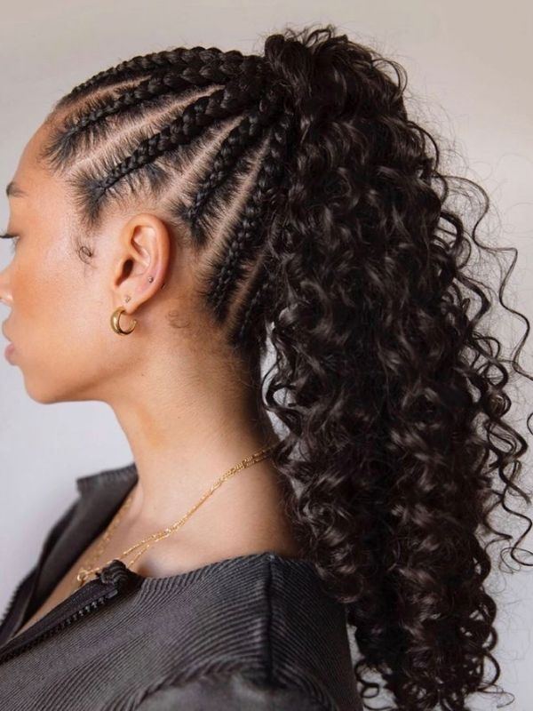The-Braided-Pony