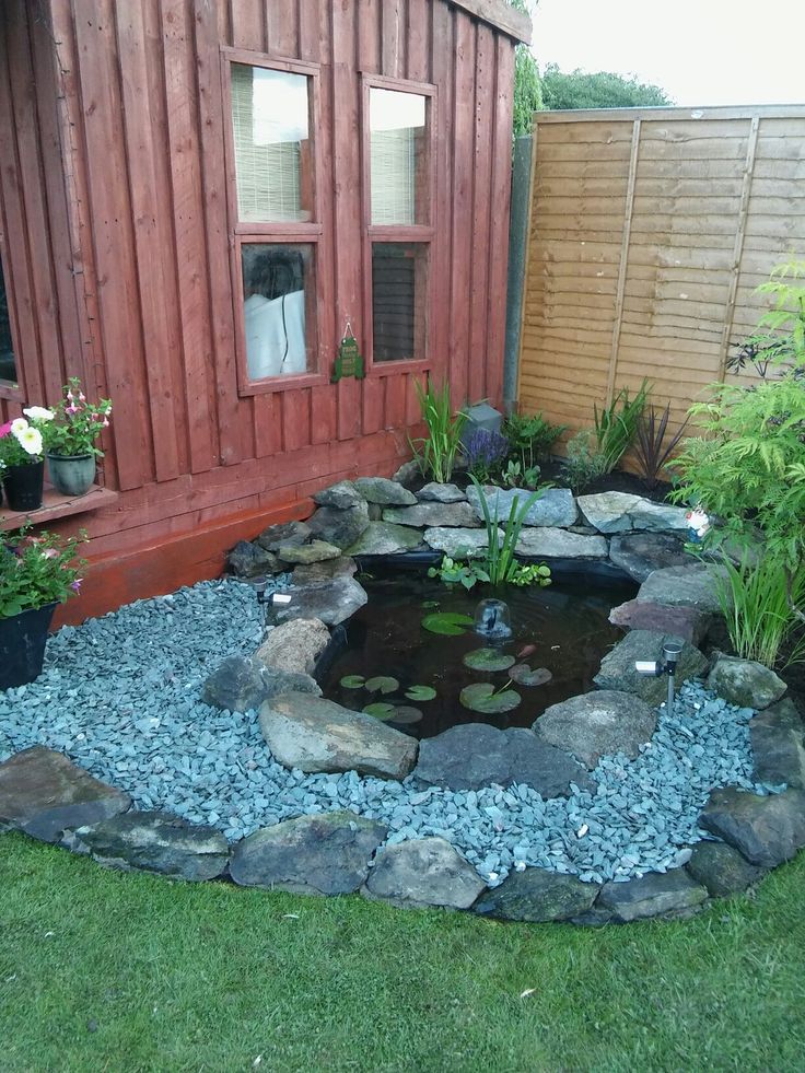 Tiny-Corner-Pond-for-Small-Backyards