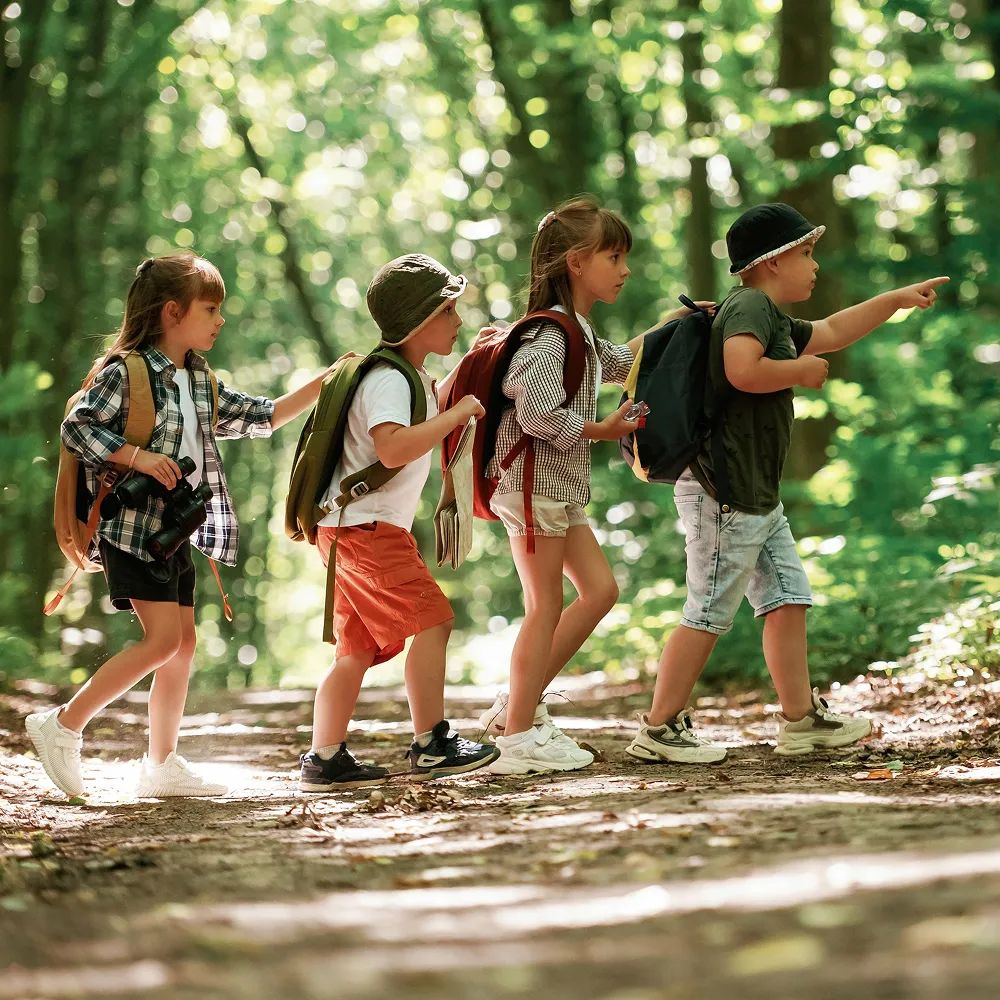 Walking-Trails-Or-Short-Hikes-summer-bucket-list-ideas-for-families-with-kids