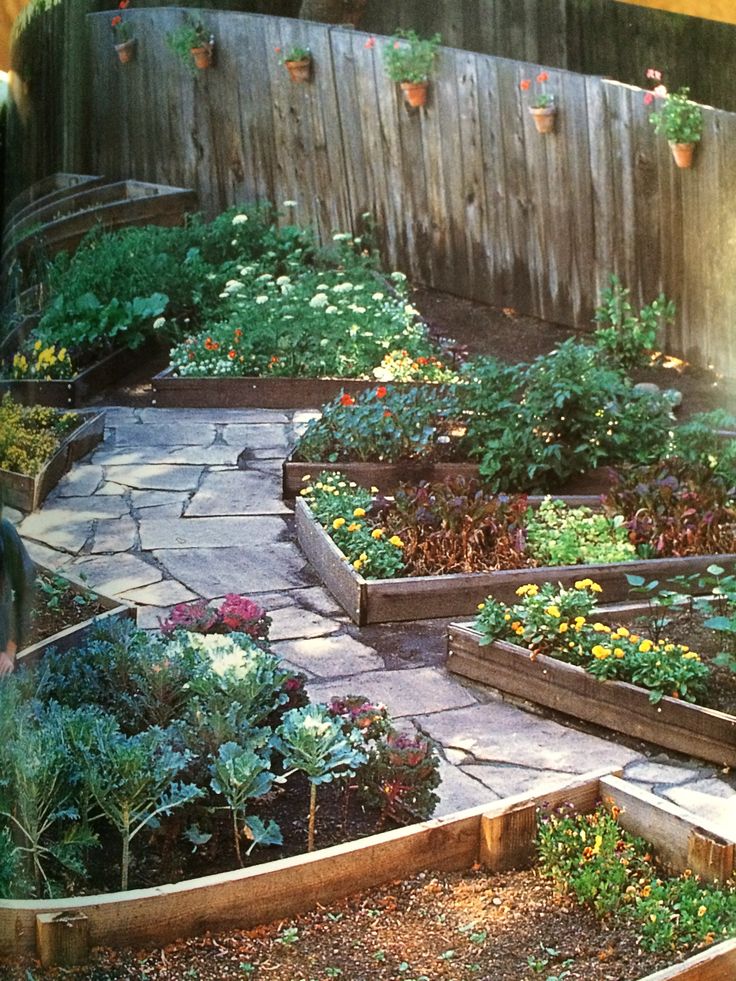 Walkways-Between-Raised-Beds.