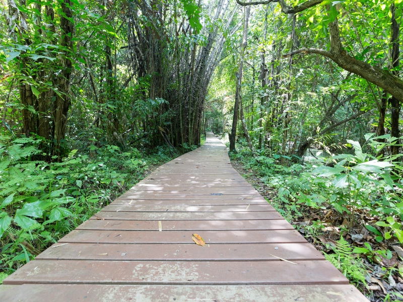 Wood-Slice-Walkways