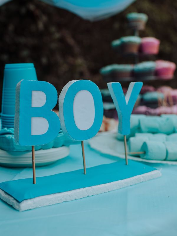 gender-reveal-party-ideas-decorations-of-a-blue-and-pink-setup
