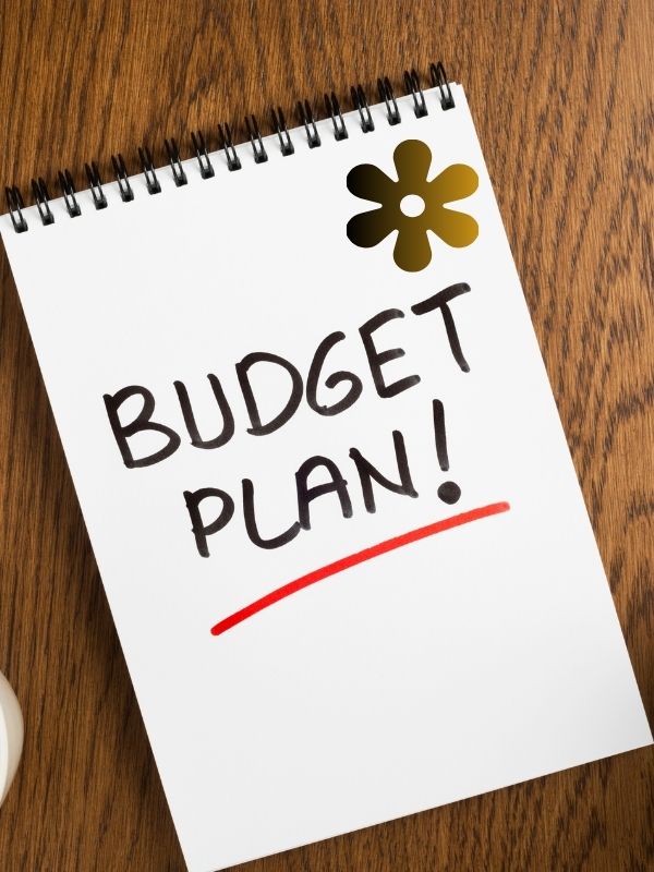 a-jotter-with-an-inscription-budget-plan-and-a-flower-shaped-graphics