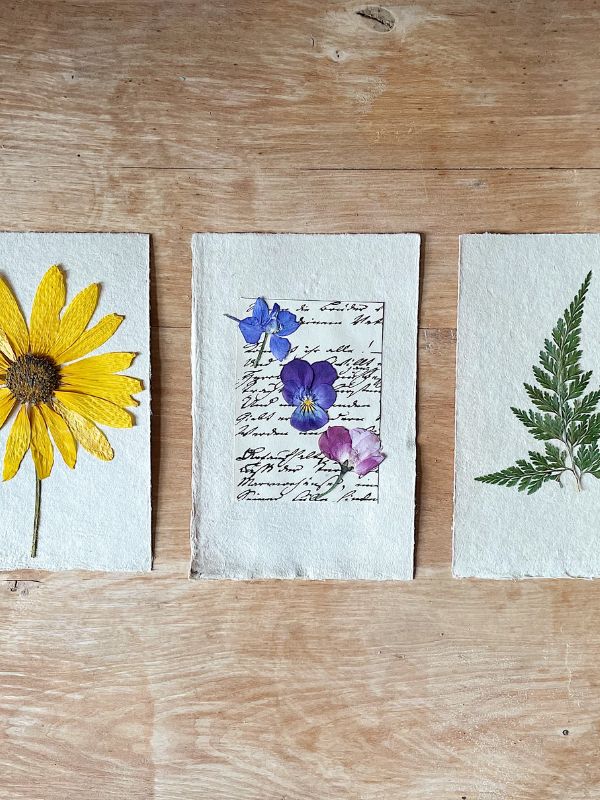 diy-craft-for-adult--displaying-pressed-on-flowers