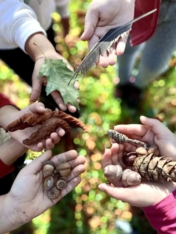 children-exploring-preschool-outdoor-activities-with-natural-items