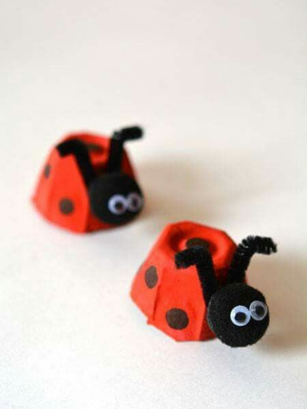 Ladybug
