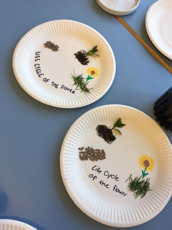 Flower-Life-Cycle-Picture-Easy-Flower-Activities-for-Preschoolers