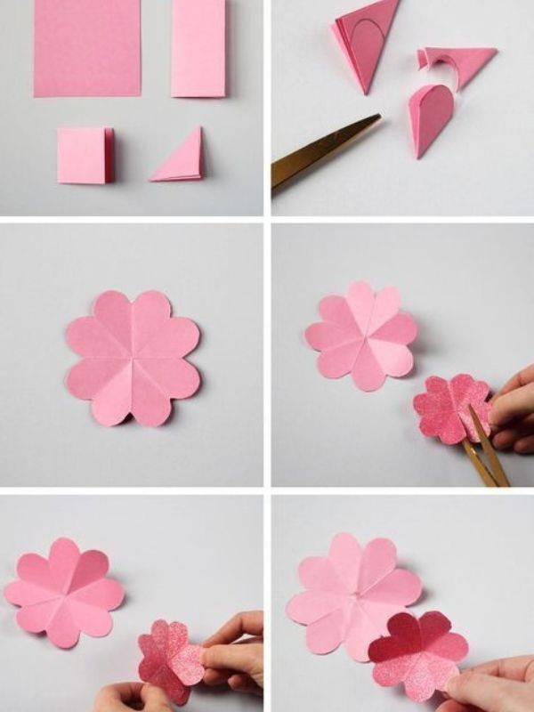 Shape-the-Petals