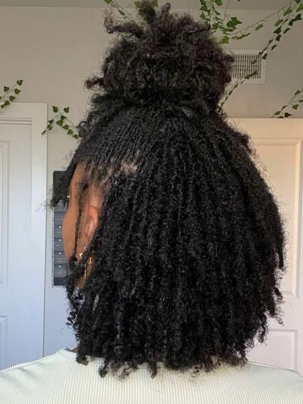 Medium-Length-Sisterlocks