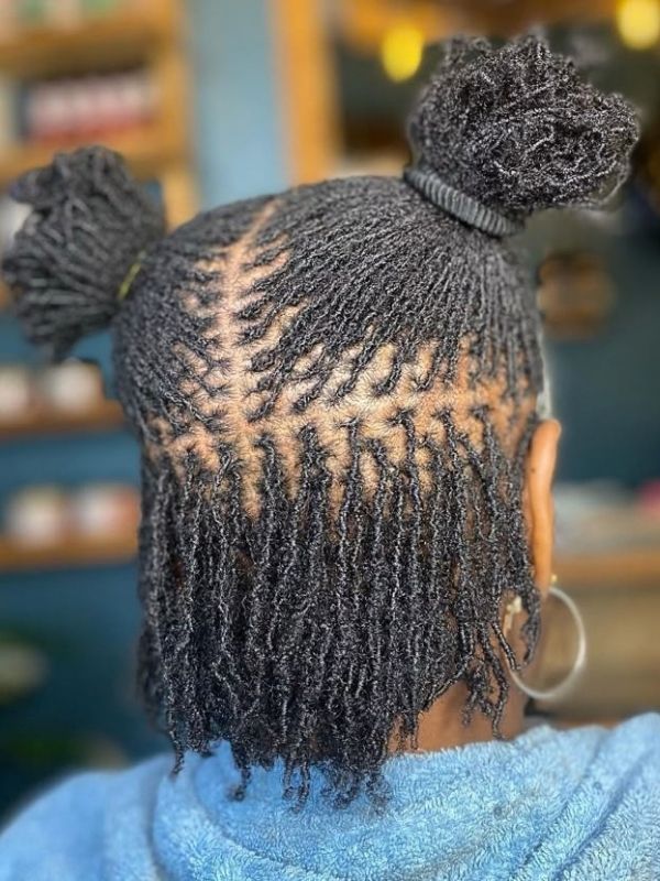 Microlocs-vs-Sisterlocks